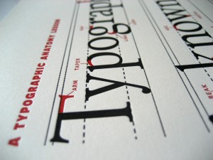 A typographic illustration of letter anatomy on http://digitalmarketingbystellar.com.au