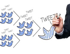 Twitter 101 – Tweeting Basics